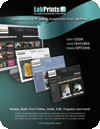 Sales Sheet