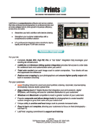 Sales Sheet